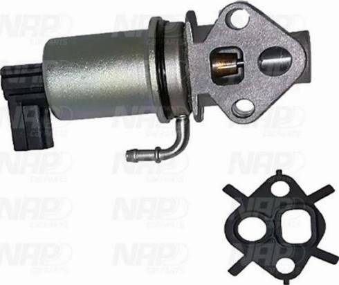 NAP CPA13001 - Supapa EGR aaoparts.ro