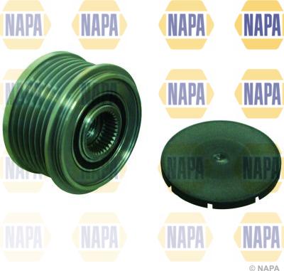NAPA NOP1099 - Fulie, alternator aaoparts.ro