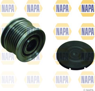 NAPA NOP1143 - Fulie, alternator aaoparts.ro