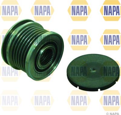 NAPA NOP1104 - Fulie, alternator aaoparts.ro