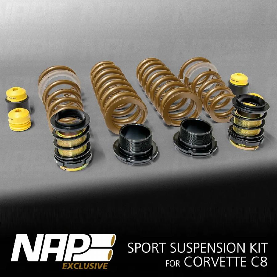 NAPEXCLUSIVE GEW120001 - Set suspensie, arcuri elicoidale aaoparts.ro