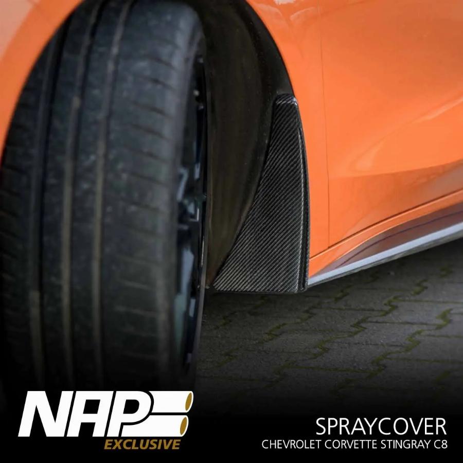 NAPEXCLUSIVE SPR120001 - Aripa interioara aaoparts.ro
