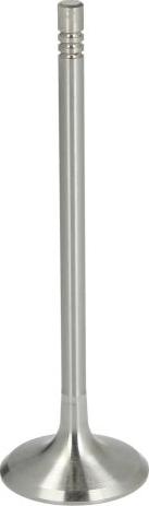 NE 147011000100 - Supapa admisie aaoparts.ro