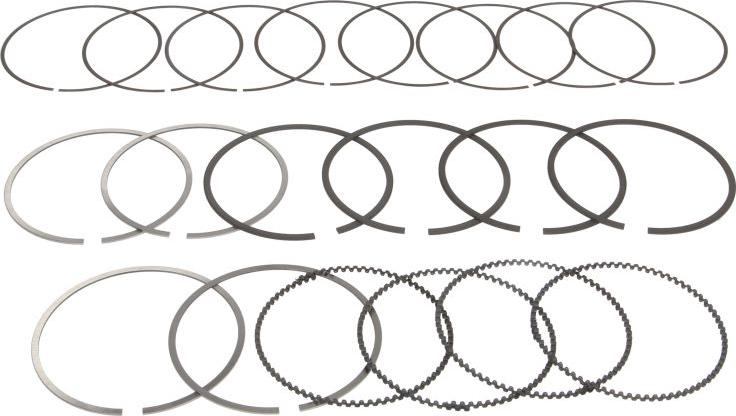 NE 121094002500 - Set segmenti piston aaoparts.ro