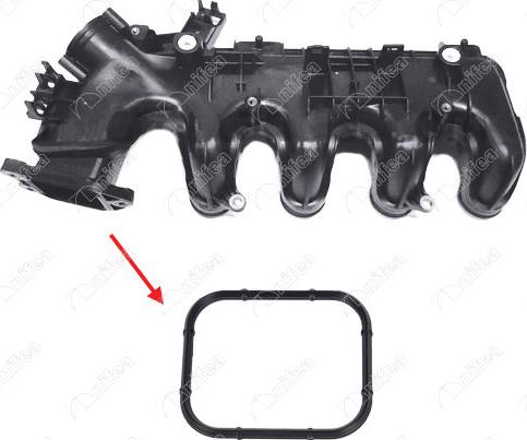 NIFEA 19936 - Garnitura, galerie admisie aaoparts.ro