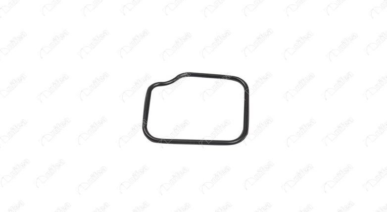 NIFEA 14638 - Garnitura, carcasa termostat aaoparts.ro