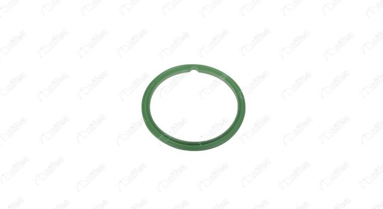 NIFEA 15455 - Garnitura, capac rezervor aaoparts.ro