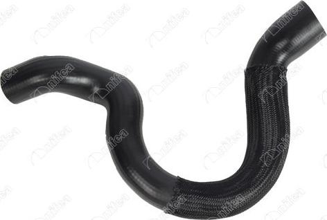 NIFEA 11919 - Furtun radiator aaoparts.ro