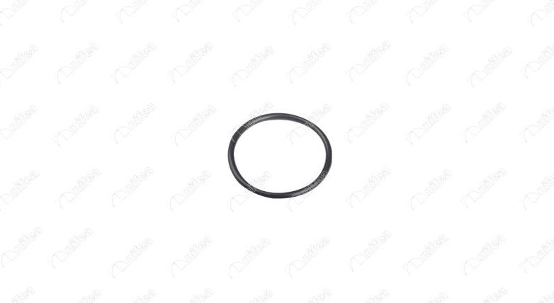 NIFEA 17666 - Garnitura,conducta lichid de racire aaoparts.ro