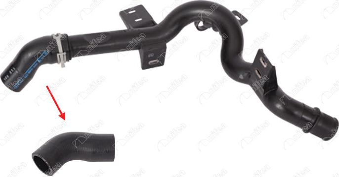 NIFEA 17155 - Furtun radiator aaoparts.ro