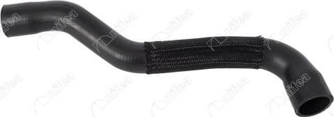 NIFEA 35008 - Furtun radiator aaoparts.ro