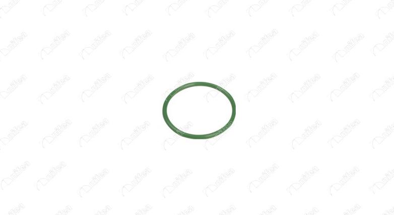 NIFEA 33508 - Inel etansare, furtun aer supraalimentare aaoparts.ro