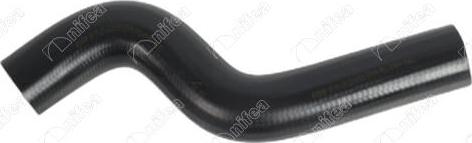 NIFEA 20504 - Furtun radiator aaoparts.ro