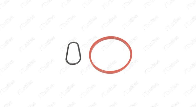 NIFEA 20068 - Garnitura, pompa vacuum aaoparts.ro