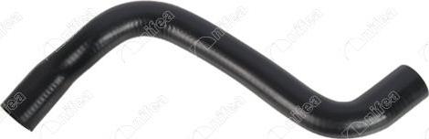 NIFEA 21583 - Furtun radiator aaoparts.ro