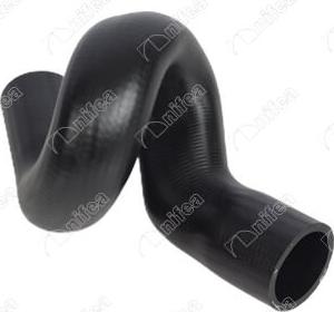 NIFEA 21275 - Furtun radiator aaoparts.ro