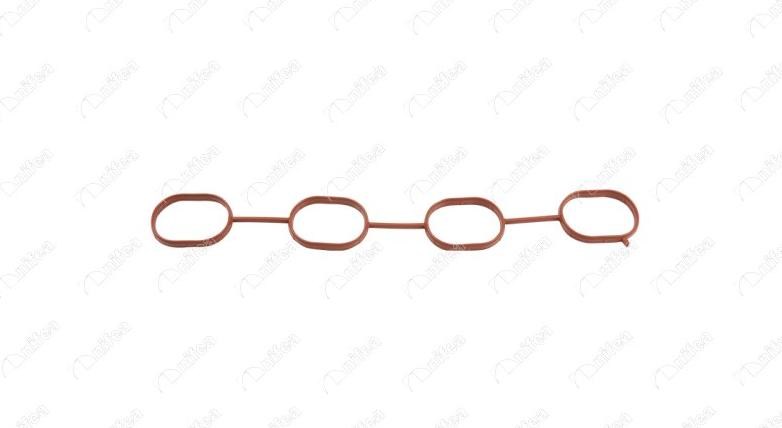 NIFEA 23204 - Garnitura, galerie admisie aaoparts.ro