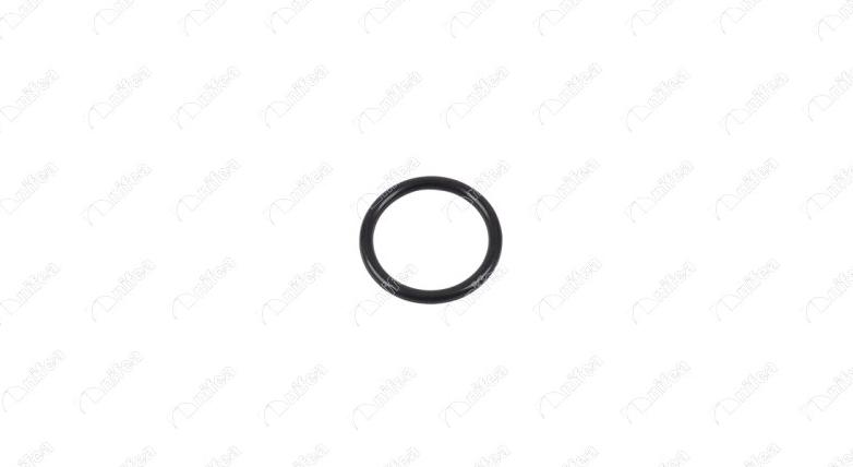 NIFEA 22993 - Garnitura,teava lichi de racire aaoparts.ro