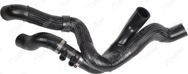 NIFEA 27674 - Furtun radiator aaoparts.ro
