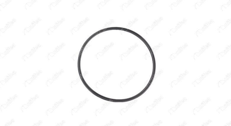 NIFEA 27394 - Garnitura, capac rezervor aaoparts.ro