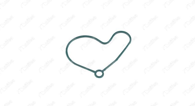 NIFEA 27369 - Garnitura, pompa vacuum aaoparts.ro