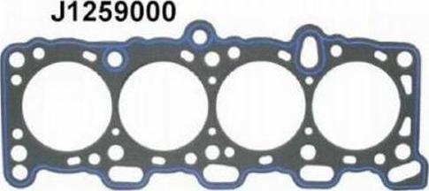 Nipparts J1259000 - Garnitura, chiulasa aaoparts.ro
