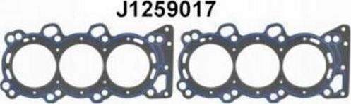 Nipparts J1259017 - Garnitura, chiulasa aaoparts.ro