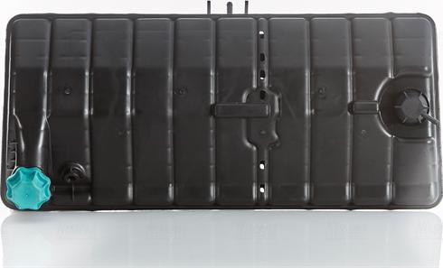 Nissens 996044 - Vas de expansiune, racire aaoparts.ro