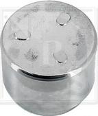 NPS M383I04 - Piston, etrier frana aaoparts.ro