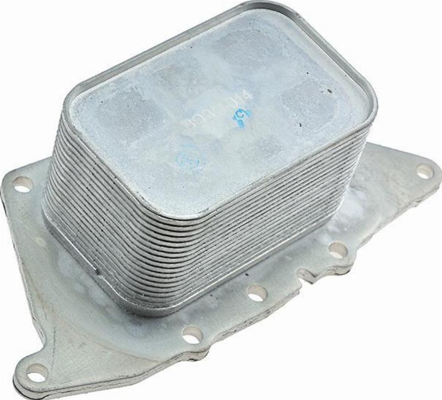 NTY CCL-BM-014 - Radiator ulei, ulei motor aaoparts.ro