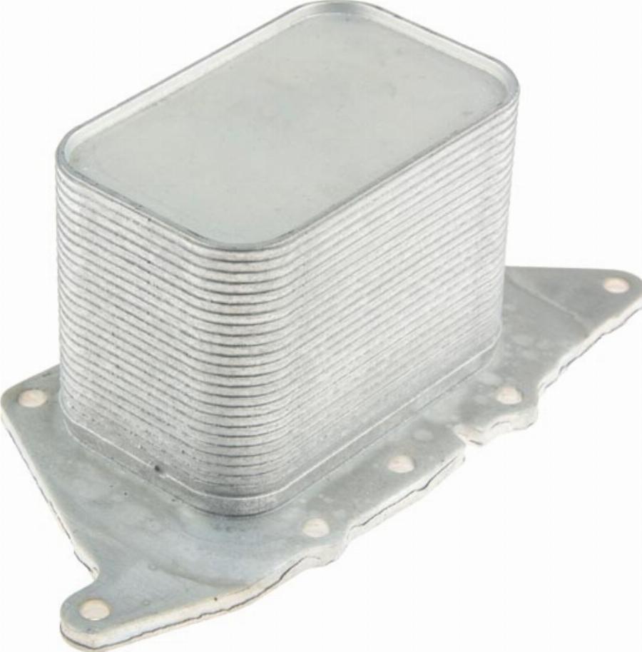 NTY CCL-BM-025 - Radiator ulei, ulei motor aaoparts.ro
