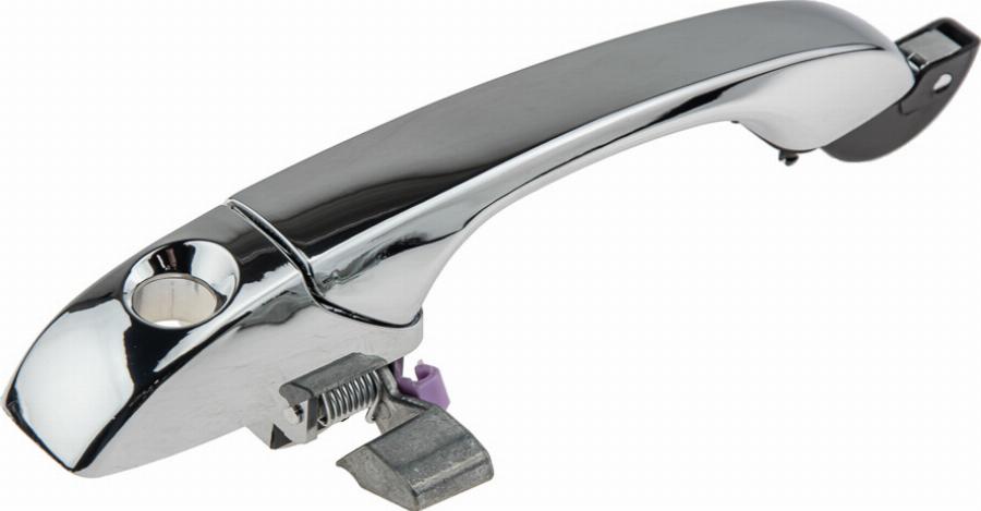 NTY EZC-CH-040 - Maner usa aaoparts.ro