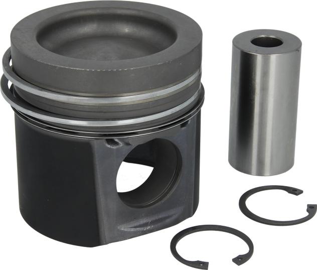 Nüral 87-289300-00 - Piston aaoparts.ro