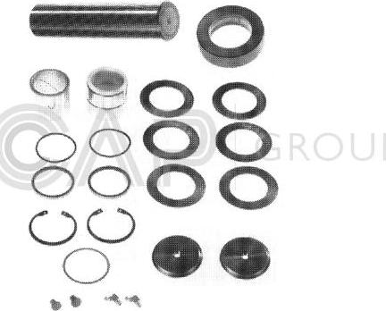 OCAP 0927408 - Set reparatie, pivot aaoparts.ro