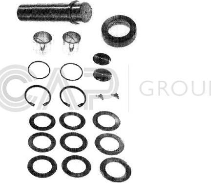 OCAP 0927407 - Set reparatie, pivot aaoparts.ro