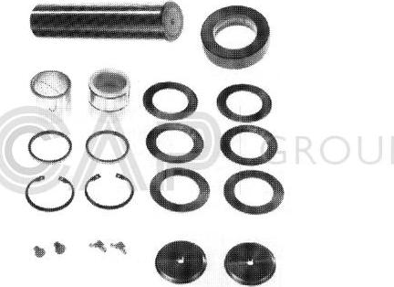 OCAP 0927791 - Set reparatie, pivot aaoparts.ro
