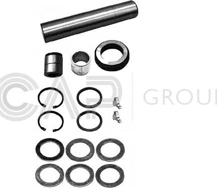 OCAP 0927742 - Set reparatie, pivot aaoparts.ro