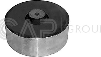 OCAP 1225986 - Suport motor aaoparts.ro