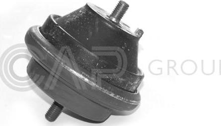 OCAP 1225407 - Suport motor aaoparts.ro