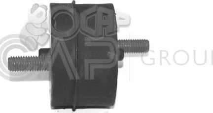 OCAP 1225553 - Suport motor aaoparts.ro