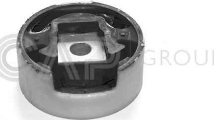 OCAP 1225047 - Suport motor aaoparts.ro