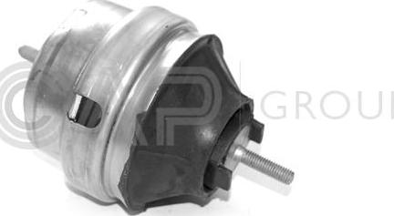OCAP 1225064 - Suport motor aaoparts.ro