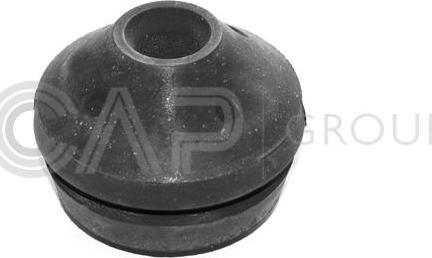 OCAP 1225002 - Suport motor aaoparts.ro