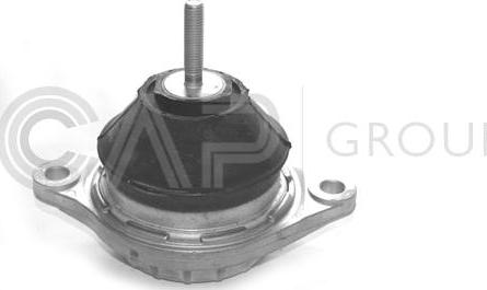 OCAP 1225019 - Suport motor aaoparts.ro