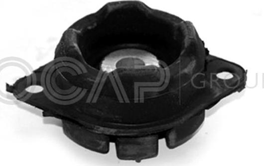 OCAP 1225010 - Suport motor aaoparts.ro