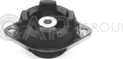 OCAP 1225013 - Suport motor aaoparts.ro