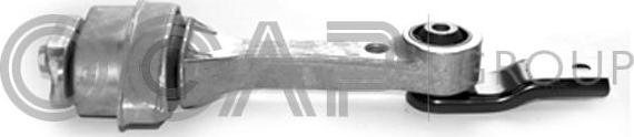 OCAP 1225039 - Suport motor aaoparts.ro