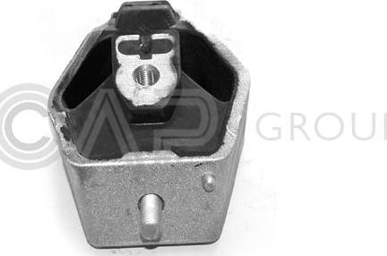 OCAP 1225031 - Suport motor aaoparts.ro