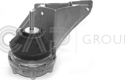 OCAP 1225032 - Suport motor aaoparts.ro