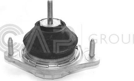 OCAP 1225029 - Suport motor aaoparts.ro